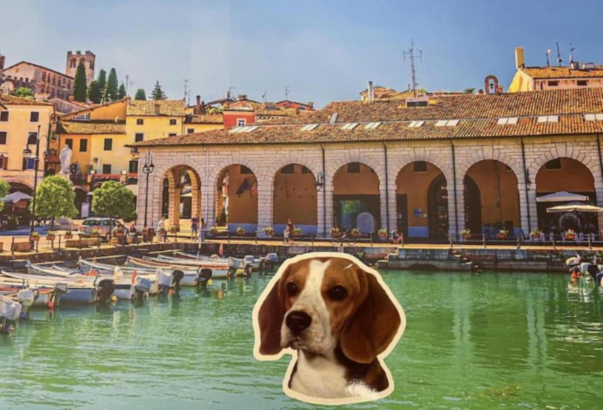 Desenzanoloft Official Partner Marriott Homes & Villas - Jack'S Penthouse Desenzano del Garda Buitenkant foto